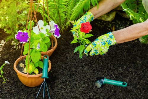 Operative trimming a garden hedge with safety gear
