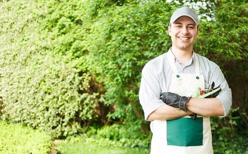 A professional gardener from Hedge Trimming Ruislip stands outdoors in a well-maintained garden with lush green hedges and shrubbery in the background. The gardener, wearing a light grey cap, striped shirt, and gardening apron with a pocket, is smiling and holding garden shears and a small hand tool. The garden features a neatly trimmed hedge, a vibrant green lawn with dense grass, and soil beds bordering the lawn area. There are some small plants and flowering bushes at the edge of the garden, creating a natural and tidy outdoor environment. The scene suggests active garden or hedge maintenance, with natural daylight illuminating the area, indicative of good weather conditions. This setting exemplifies professional gardening and landscaping services available in the Ruislip area, as supported by the website hedgetrimmingruislip.co.uk.
